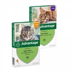 Bayer Advantage 40 Tegen Vlooien - <4kg - 4 X 0,4 Ml - Adult -Kattenbenodigdheden Winkel 1200x1200 14