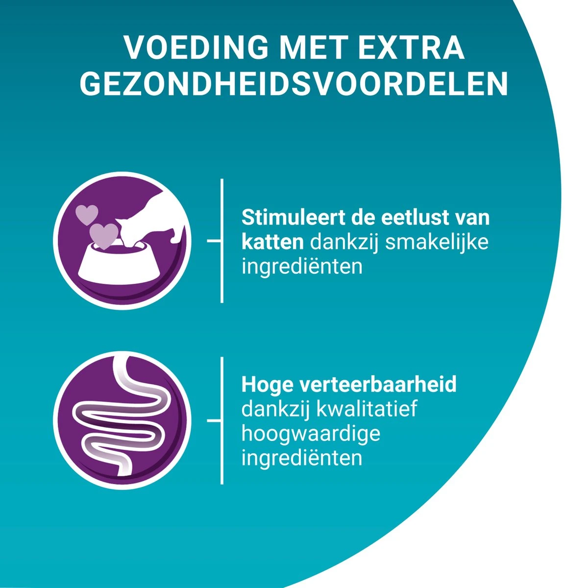 Purina ONE Difficult Appitite Kip - Kattenvoer - 48 X 85g 5 Purina ONE Difficult Appitite Kip - Kattenvoer - 48 X 85g - Afbeelding 5