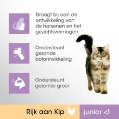 Perfect Fit Junior Katten Droogvoer - Kip - 4 X 750 Gr -Kattenbenodigdheden Winkel 1200x1200 158