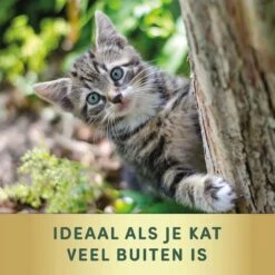 3 Stuks Vlooienband Kat Tekenband - 100% Natuurlijk Veilig En Waterbestendig -Kattenbenodigdheden Winkel 1200x1200 16