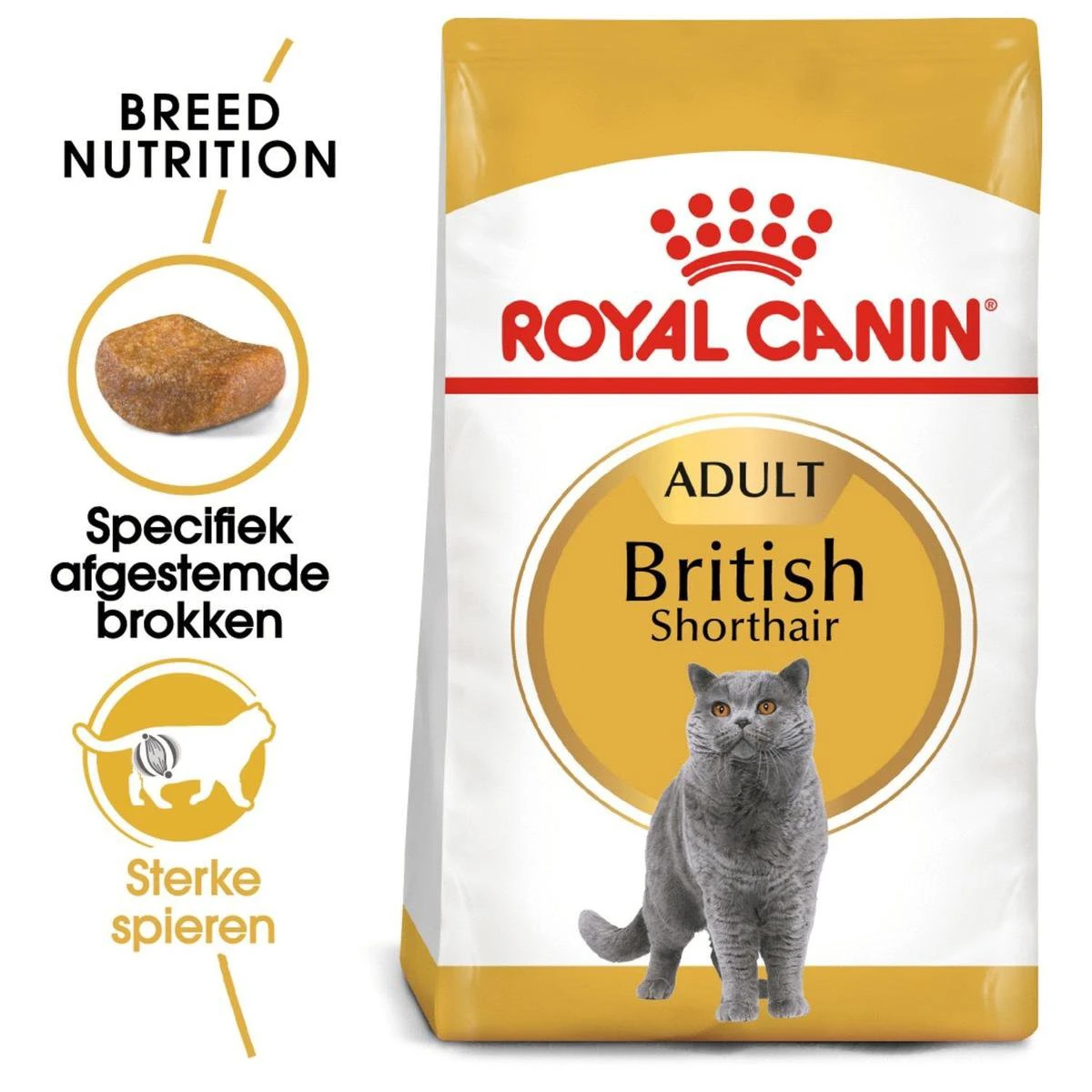Royal Canin British Shorthair Adult - Kattenvoer - 2 Kg 4 Royal Canin British Shorthair Adult - Kattenvoer - 2 Kg - Afbeelding 4