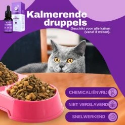 Aerend - Kalmerende Druppels Voor Katten - Anti-stress - Zanipro® 30ml - 100% Natuurlijk Uit Het Verenigd Koninkrijk - Met Ashwagandha & Valeriaan - No Stress Druppels Om Gedragsproblemen Te Verlichten - Voor Thuis En Onderweg -Kattenbenodigdheden Winkel 1200x1200 184
