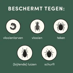 3 Stuks Vlooienband Kat Tekenband - 100% Natuurlijk Veilig En Waterbestendig -Kattenbenodigdheden Winkel 1200x1200 19