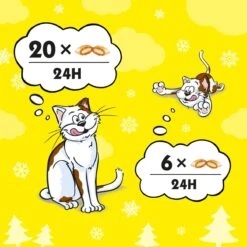 Catisfactions Kattensnack - Zalm - 6 X 60 Gr 8 Catisfactions Kattensnack - Zalm - 6 X 60 Gr -Kattenbenodigdheden Winkel 1200x1200 202