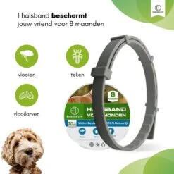 Essential Link Teken- En Vlooienband - Vlooienband Kat/Hond – Anti Vlooien – Vlooienmiddel - Tekenband - Diervriendelijk -Kattenbenodigdheden Winkel 1200x1200 21