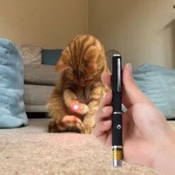 Katten Laser - Dierenwinkel Nederland -Kattenbenodigdheden Winkel 1200x1200 228