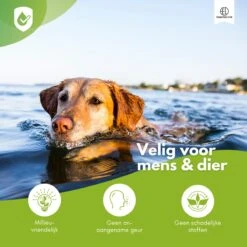Essential Link Teken- En Vlooienband - Vlooienband Kat/Hond – Anti Vlooien – Vlooienmiddel - Tekenband - Diervriendelijk -Kattenbenodigdheden Winkel 1200x1200 23