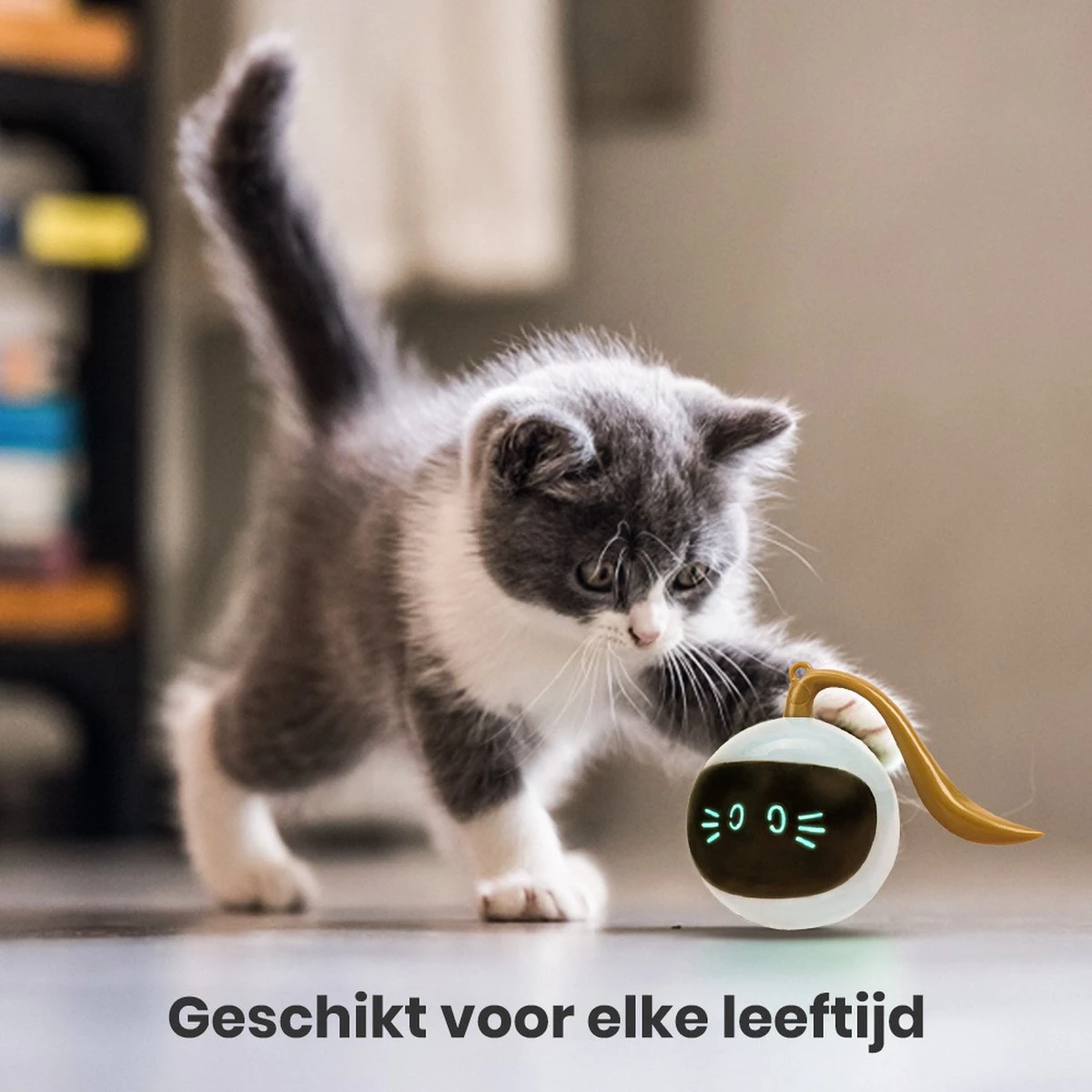 Otiume Slimme Katten Speeltje - Interactieve Zelf Rollende Bal Voor Katten - Kattenspeeltjes -Speelgoed Voor Dieren - USB Oplaadbaar 2 Otiume Slimme Katten Speeltje - Interactieve Zelf Rollende Bal Voor Katten - Kattenspeeltjes -Speelgoed Voor Dieren - USB Oplaadbaar - Afbeelding 2