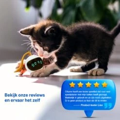 Otiume Slimme Katten Speeltje - Interactieve Zelf Rollende Bal Voor Katten - Kattenspeeltjes -Speelgoed Voor Dieren - USB Oplaadbaar 14 Otiume Slimme Katten Speeltje - Interactieve Zelf Rollende Bal Voor Katten - Kattenspeeltjes -Speelgoed Voor Dieren - USB Oplaadbaar -Kattenbenodigdheden Winkel 1200x1200 236