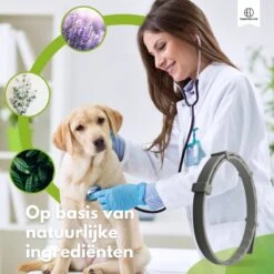 Essential Link Teken- En Vlooienband - Vlooienband Kat/Hond – Anti Vlooien – Vlooienmiddel - Tekenband - Diervriendelijk -Kattenbenodigdheden Winkel 1200x1200 24