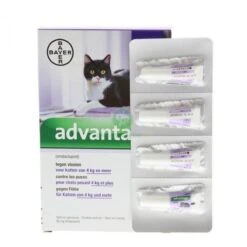 Kattenbenodigdheden Winkel -Kattenbenodigdheden Winkel 1200x1200