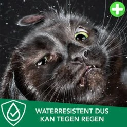 Teken- En Vlooienband Voor Katten PLUS - Natuurlijk Middel Tegen Vlooien En Teken - 100% Natuurlijk - 38,5 CM - Tot 8 Maand Werkzaam - Biologisch -Kattenbenodigdheden Winkel 1200x1200 25