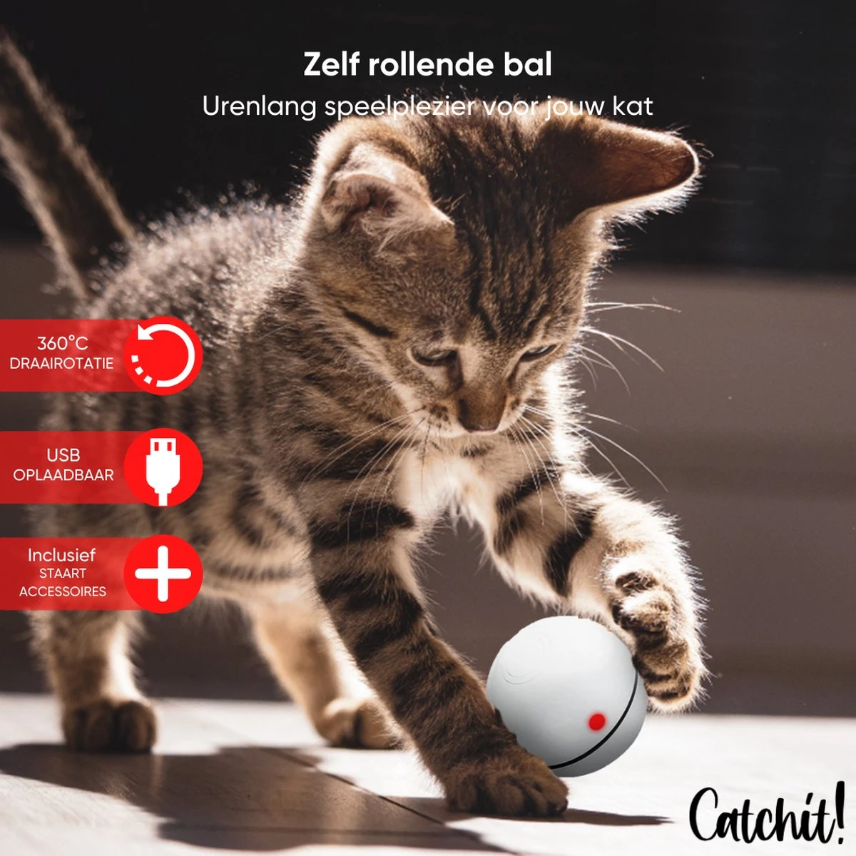 Catchit!® Interactieve Zelfrollende Bal Katten - Kattenspeeltjes - Inclusief USB Kabel En Staartjes - Kattenspeelgoed - Smart - Grijs 2 Catchit!® Interactieve Zelfrollende Bal Katten - Kattenspeeltjes - Inclusief USB Kabel En Staartjes - Kattenspeelgoed - Smart - Grijs - Afbeelding 2