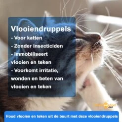 Anti-parasitaire Druppels Tegen Vlooien, Teken, Mijten En Luizen - Voor Katten Vanaf 12 Weken -Kattenbenodigdheden Winkel 1200x1200 26