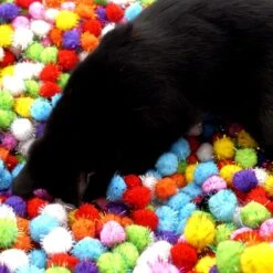 Make Me Purr Glitter Pompon Ballen (10 Stuks) - Kattenspeeltjes - Kattenspeelgoed - Speelgoed Voor Katten - Kat Speeltje Bal - Kitten Speeltjes Balletjes -Kattenbenodigdheden Winkel 1200x1200 260