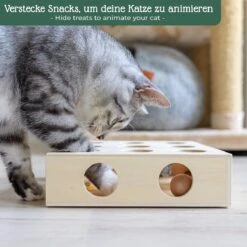 Pfotenolymp® Interactief Kattenspeelgoed / Speeldoos Met Speelballen & Speelmuis - Houten Speelgoed Voor Katten - Mollenspel / Vangspel / Jachtspel 11 Pfotenolymp® Interactief Kattenspeelgoed / Speeldoos Met Speelballen & Speelmuis - Houten Speelgoed Voor Katten - Mollenspel / Vangspel / Jachtspel -Kattenbenodigdheden Winkel 1200x1200 265