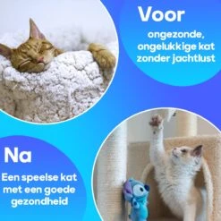 TocaToca Kip- Interactieve Zelf Bewegende Speeltje- Kattenspeeltjes- Kattenspeelgoed- Intelligentie- Kip Voor Katten- Laser- USB- Speelgoed- Geluid- Blauw -Kattenbenodigdheden Winkel 1200x1200 270