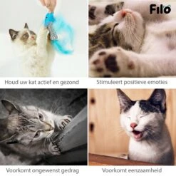 Filo Kattenhengel Set + 12 Kattenspeeltjes – Speelhengels Interactief Kattenspeelgoed – Hengel Kattenspeeltje Kittens - Speelgoed Speelhengel Vis Kat En Kitten -Kattenbenodigdheden Winkel 1200x1200 273
