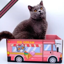 Make Me Purr Kattendoos Van Karton (Ice Cream) - Inclusief Kartonnen Krabmat - Speelgoed Doos Voor Katten Met Krab Mat - Kat Krabpaal Speeltje - Kattenbed Kattenmand Kattenhuis Kattentunnel - Kattenspeelgoed - Kattenspeeltjes - Kitten Speeltjes -Kattenbenodigdheden Winkel 1200x1200 283