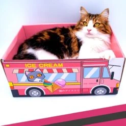 Make Me Purr Kattendoos Van Karton (Ice Cream) - Inclusief Kartonnen Krabmat - Speelgoed Doos Voor Katten Met Krab Mat - Kat Krabpaal Speeltje - Kattenbed Kattenmand Kattenhuis Kattentunnel - Kattenspeelgoed - Kattenspeeltjes - Kitten Speeltjes -Kattenbenodigdheden Winkel 1200x1200 284