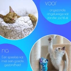 TocaToca Kip- Interactieve Zelf Bewegende Speeltje- Kattenspeeltjes- Intelligentie- Kattenspeelgoed- Kip Voor Katten- Laser- USB- Speelgoed- Geluid- Oranje -Kattenbenodigdheden Winkel 1200x1200 287