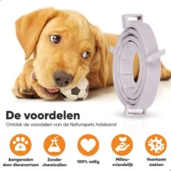 Nafurapets Vlooienband Voor Hond – Anti Vlooien – Teken Band – 100% Natuurlijk – 8 Maanden Bescherming – Grote & Kleine Hond -Kattenbenodigdheden Winkel 1200x1200 29