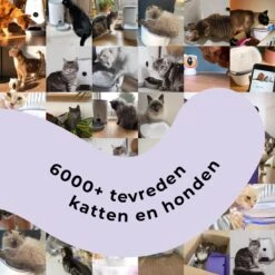Pettadore - Laser Kattenspeeltjes - Smart Met Autoplay En Handmatig Via App 21 Pettadore - Laser Kattenspeeltjes - Smart Met Autoplay En Handmatig Via App -Kattenbenodigdheden Winkel 1200x1200 295