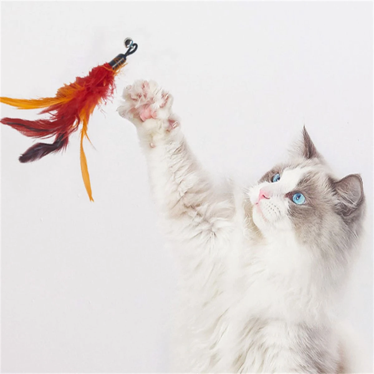 Merkloos Kattenhengel Met 10 Opzetstukjes - Kat Speelhengel Met Veren - Speelgoed Hengel Voor Katten – Kittenspeeltjes Met Veer – Kattenspeelgoed – Katten Speeltjes 5 Merkloos Kattenhengel Met 10 Opzetstukjes - Kat Speelhengel Met Veren - Speelgoed Hengel Voor Katten – Kittenspeeltjes Met Veer – Kattenspeelgoed – Katten Speeltjes - Afbeelding 5