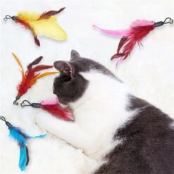 Merkloos Kattenhengel Met 10 Opzetstukjes - Kat Speelhengel Met Veren - Speelgoed Hengel Voor Katten – Kittenspeeltjes Met Veer – Kattenspeelgoed – Katten Speeltjes 11 Merkloos Kattenhengel Met 10 Opzetstukjes - Kat Speelhengel Met Veren - Speelgoed Hengel Voor Katten – Kittenspeeltjes Met Veer – Kattenspeelgoed – Katten Speeltjes -Kattenbenodigdheden Winkel 1200x1200 303