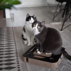 Interactief Krabspeelgoed Van Karton Met Balletje En Belletje - District 70 SPY - Zwart Of Wit 35x35x6cm - Zwart -Kattenbenodigdheden Winkel 1200x1200 308