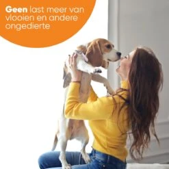 Nafurapets Vlooienband Voor Hond – Anti Vlooien – Teken Band – 100% Natuurlijk – 8 Maanden Bescherming – Grote & Kleine Hond -Kattenbenodigdheden Winkel 1200x1200 32