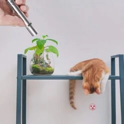 Merkloos Laserpen - Daily Accessoires - USB Oplaadbaar - Kattenspeeltjes - Laserlampje - 7 Verschillende Standen - RVS Zilver - Zaklamp - UV Lamp – Kattenspeelgoed -Kattenbenodigdheden Winkel 1200x1200 332