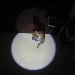 Merkloos Hoogwaardig Laserlampje Voor Katten | USB Oplaadbaar | 7 In 1 Laserpen | Laserpen | Zaklamp | Kattenspeeltje | Kattenspeelgoed | Zilver | Laserpointer Rood/groen | UV Licht -Kattenbenodigdheden Winkel 1200x1200 346