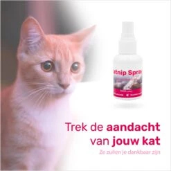 LBB - Catnip Spray 50ML - 100% Natuurlijk - CE Gekeurd - Kattenkruid Spray - Catnip Speelgoed - Valeriaan - Kat - Katten -Kattenbenodigdheden Winkel 1200x1200 356