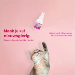 LBB - Catnip Spray 50ML - 100% Natuurlijk - CE Gekeurd - Kattenkruid Spray - Catnip Speelgoed - Valeriaan - Kat - Katten -Kattenbenodigdheden Winkel 1200x1200 358