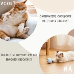 MyBuddy - Interactieve Zelf Rollende Bal - Kattenspeeltjes - Kattenspeelgoed - Bal Voor Katten - LED Lights - Speelgoed - USB - Roze -Kattenbenodigdheden Winkel 1200x1200 360