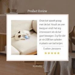 MyBuddy - Interactieve Zelf Rollende Bal - Kattenspeeltjes - Kattenspeelgoed - Bal Voor Katten - LED Lights - Speelgoed - USB - Roze -Kattenbenodigdheden Winkel 1200x1200 362