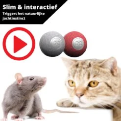 Cheerble Mini Ball 2.0 - Slimme Interactieve Zelf Rollende Bal Voor Katten - 3 Speelmodi - Kattenspeeltjes - USB Oplaadbaar - Rood -Kattenbenodigdheden Winkel 1200x1200 364