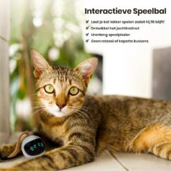 Otiume Interactieve Speelbal - Slimme Interactieve Jaag Speeltje Voor Katten - Kattenspeeltjes - Intelligente Jaagbal - AI -USB Oplaadbaar - LED - Blauw -Kattenbenodigdheden Winkel 1200x1200 368