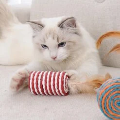 GIZMO Luxe Kattenspeeltjes Set - 7 Speeltjes - Interactieve Kattenhengel, Kattenspeelgoed & Speelmuisjes - Kitten Speeltjes 14 GIZMO Luxe Kattenspeeltjes Set - 7 Speeltjes - Interactieve Kattenhengel, Kattenspeelgoed & Speelmuisjes - Kitten Speeltjes -Kattenbenodigdheden Winkel 1200x1200 375