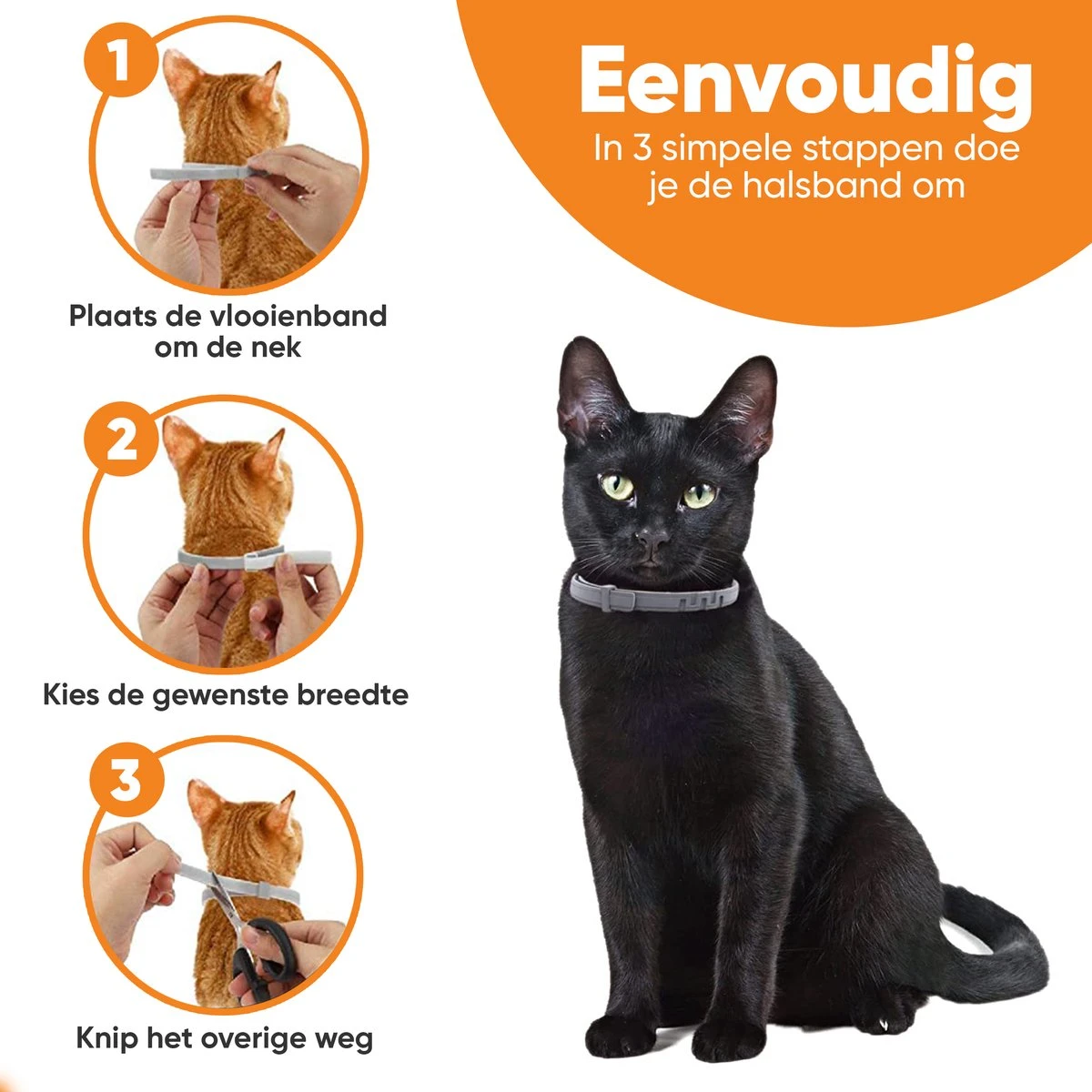 Nafurapets Vlooienband Voor Kat – Anti Vlooien – Teken Band – 100% Natuurlijk – 8 Maanden Bescherming – Grote & Kleine Kat 2 Nafurapets Vlooienband Voor Kat – Anti Vlooien – Teken Band – 100% Natuurlijk – 8 Maanden Bescherming – Grote & Kleine Kat - Afbeelding 2