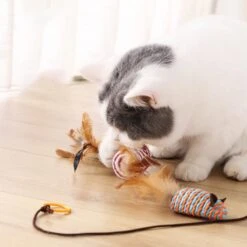 Kattenspeelgoed - Set Met 7 Kattenspeeltjes - Complete Set - Kattenhengel - Speelmuis -Kattenbenodigdheden Winkel 1200x1200 384