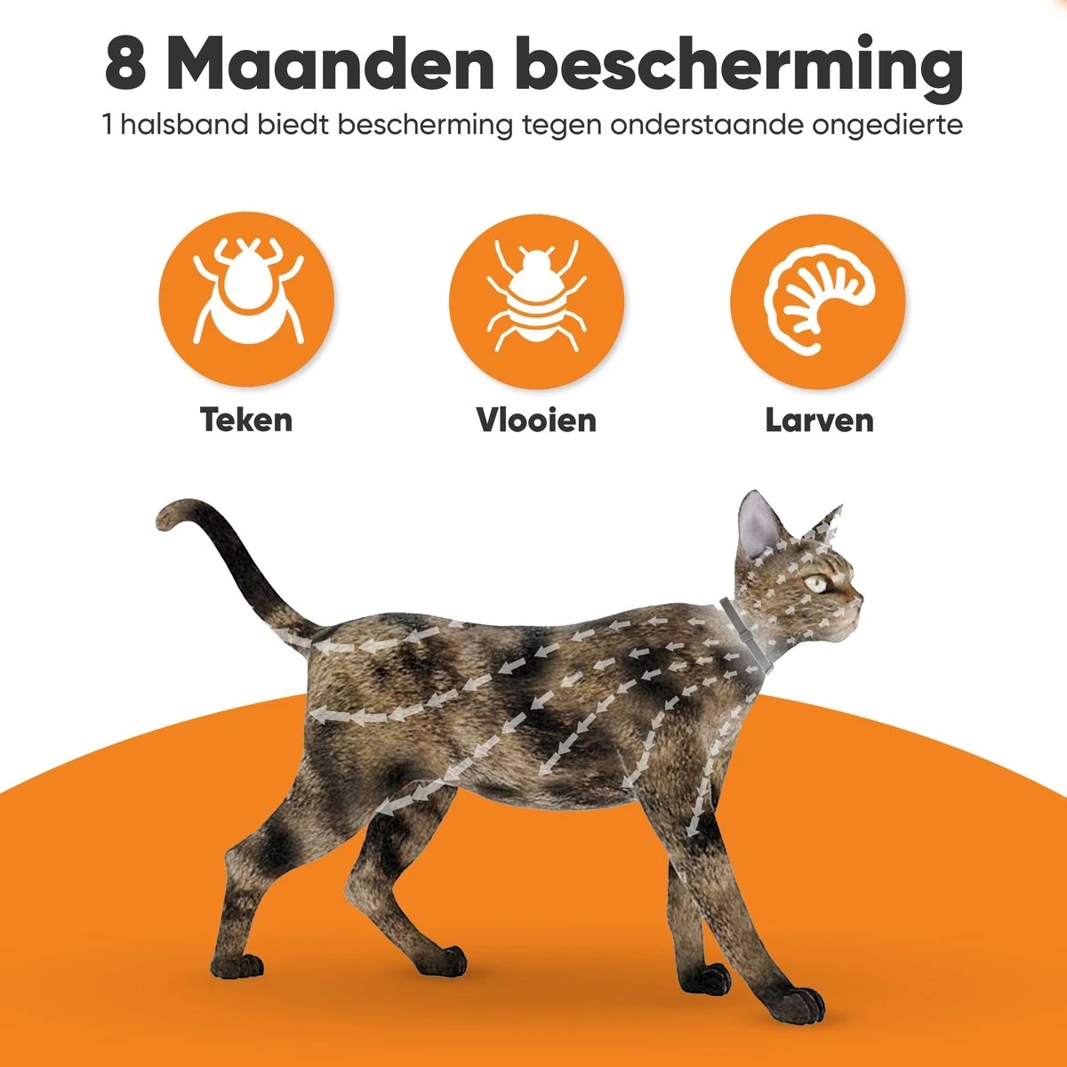 Nafurapets Vlooienband Voor Kat – Anti Vlooien – Teken Band – 100% Natuurlijk – 8 Maanden Bescherming – Grote & Kleine Kat 4 Nafurapets Vlooienband Voor Kat – Anti Vlooien – Teken Band – 100% Natuurlijk – 8 Maanden Bescherming – Grote & Kleine Kat - Afbeelding 4