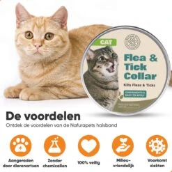 Nafurapets Vlooienband Voor Kat – Anti Vlooien – Teken Band – 100% Natuurlijk – 8 Maanden Bescherming – Grote & Kleine Kat 13 Nafurapets Vlooienband Voor Kat – Anti Vlooien – Teken Band – 100% Natuurlijk – 8 Maanden Bescherming – Grote & Kleine Kat -Kattenbenodigdheden Winkel 1200x1200 41