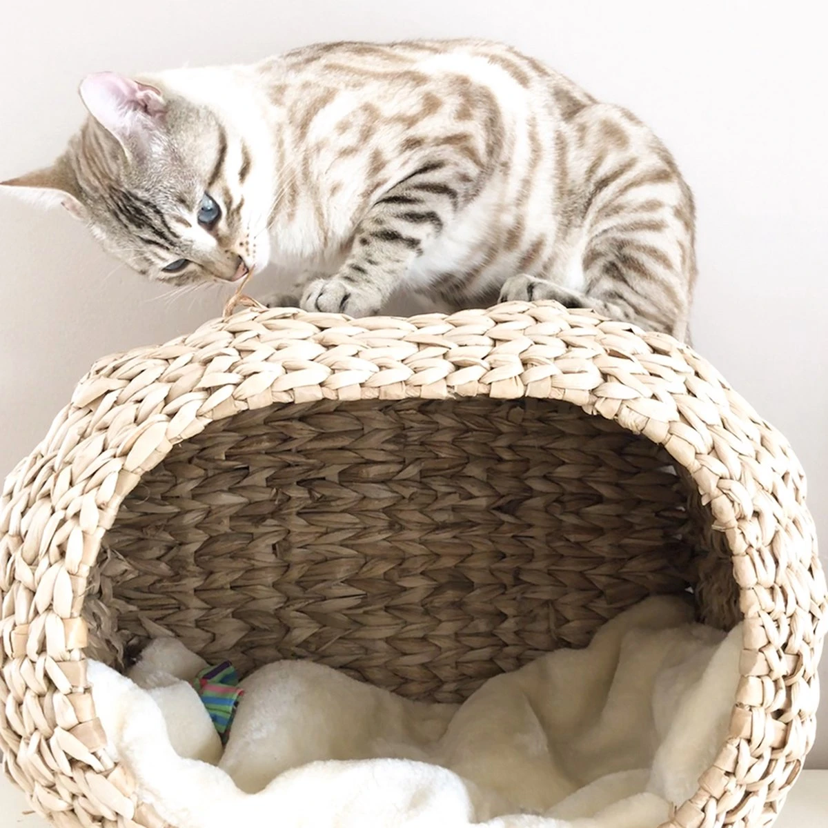 Ebi Radiator Sunrise Kattenmand - Incl. Kussen - Beige - 45 X 30 X 30 Cm 4 Ebi Radiator Sunrise Kattenmand - Incl. Kussen - Beige - 45 X 30 X 30 Cm - Afbeelding 4