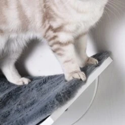 Merkloos Paws And Claws - Cat Shelf – Hangmat Kat – Kattenplank - Kattenbed - Wasbaar – Wandmontage – MDF - Wit 14 Merkloos Paws And Claws - Cat Shelf – Hangmat Kat – Kattenplank - Kattenbed - Wasbaar – Wandmontage – MDF - Wit -Kattenbenodigdheden Winkel 1200x1200 425