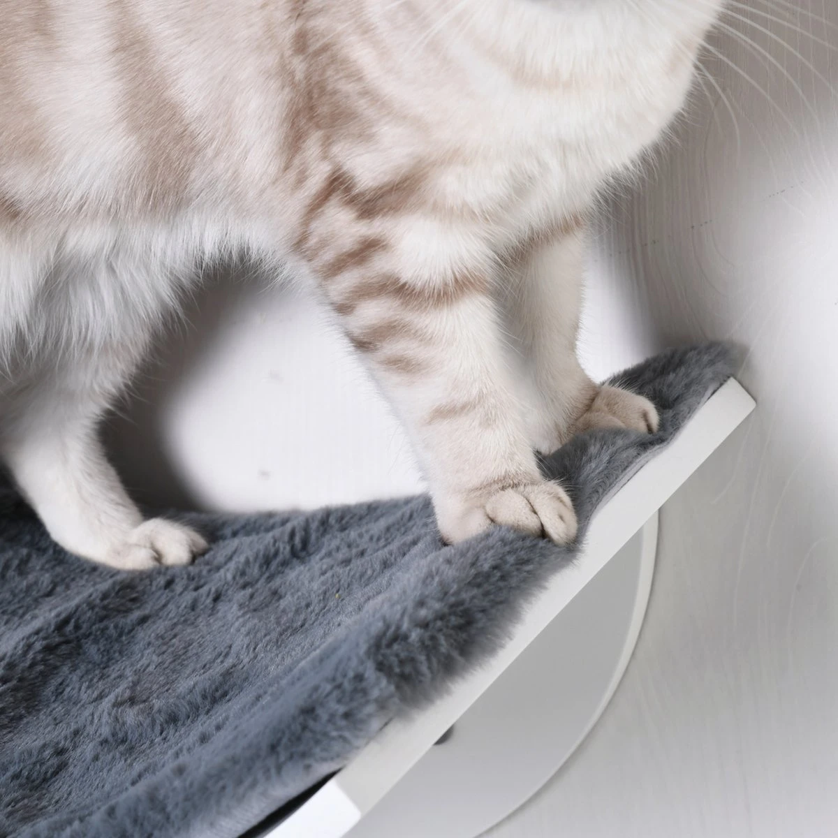 Merkloos Paws And Claws - Cat Shelf – Hangmat Kat – Kattenplank - Kattenbed - Wasbaar – Wandmontage – MDF - Wit 7 Merkloos Paws And Claws - Cat Shelf – Hangmat Kat – Kattenplank - Kattenbed - Wasbaar – Wandmontage – MDF - Wit - Afbeelding 7