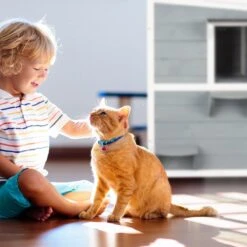 Relaxdays Kattenhuis Buiten - Groot Kattenhok Binnen - Hoog Kattenmeubel Grijs Hout - Tuin -Kattenbenodigdheden Winkel 1200x1200 431