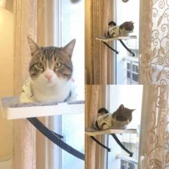 Hobipets - Kattenmand Raam - 5 Zuignappen - Hangmat Kat Raam -Kattenbenodigdheden Winkel 1200x1200 435