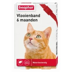 Beaphar Vlooienband Kat - Rood - 1 Stuk -Kattenbenodigdheden Winkel 1200x1200 44